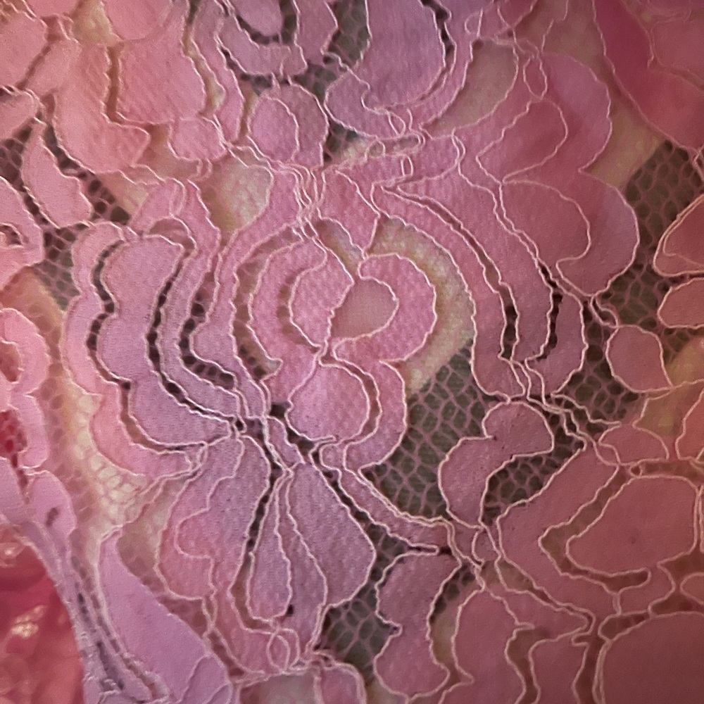 ZARA XS Lace Pink Button Up - Picture 2 of 3